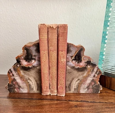 RARE Petrified Wood Bookends Doorstops slight Quartz Veining EXCELLENT Specimens - Image 1 of 4