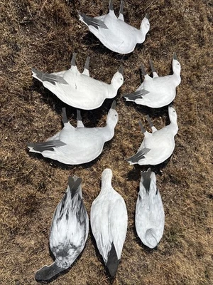 OUTLAW DECOY SNOW GOOSE GEESE JENNY V SILOUETTE x8 MADE IN USA 🇺🇸 LOT 2 - Image 1 of 4