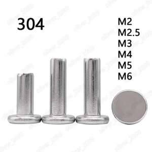 304 Edelstahl Flachkopfnieten M2 M2,5 M3 M4 M5 M6 M8 - Bild 1 von 6