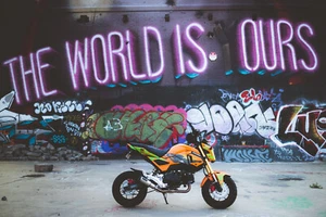 Graphics Kit for Honda Grom SF (2017-2020) MSX 125 F&F Orange - Picture 1 of 8