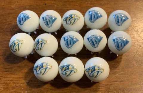 NASHVILLE PREDATORS NHL 5/8" GLASS MARBLES COLLECTION with stands Cover