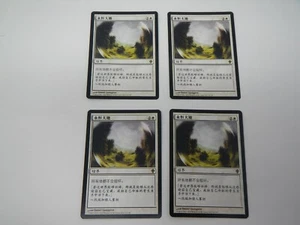 MTG Magic the Gathering Worldwake 4x Terra Eternal x4 - Rare - Chinese - Picture 1 of 2