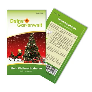 Tannenbaum Samen - Nordmanntanne selbst pflanzen - Weihnachtsbaumsamen - Saatgut - Bild 1 von 5