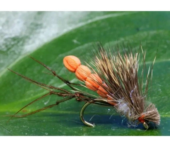 WET YOUR FLY 3 x UV orange HOGG Daddy lange Beine Fliege Größe 10