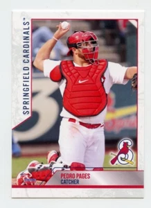 2022 Choice Springfield Cardinals Pedro Pages RC Rookie Card St. Louis - Picture 1 of 1