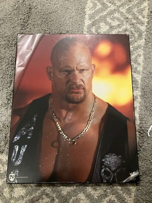 Póster impreso de madera Stone Cold Steve Austin WWF WWE recuerdos Norman James Foto 1 de 4