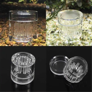8 Hole snail trap free bait for aquarium fish_plants tank Planarian leec._ro - Picture 1 of 9