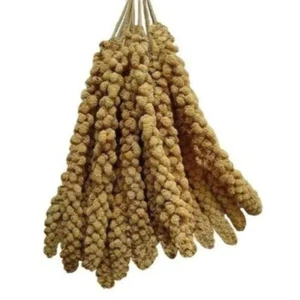 MILLET SPRAY x5 Sprigs 250g 500g 1kg 5kg FOR ALL CAGE BIRDS Budgies Canary Finch - Picture 1 of 1
