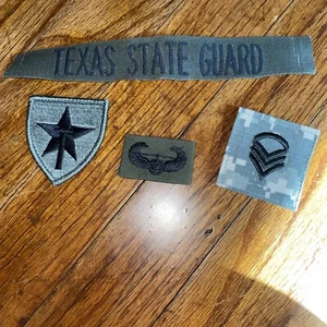 Texas State Guard Patches - Picture 1 of 1