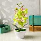 Seidentuch Phalaenopsis Bonsai Dekoration mit fnf Kpfen geflschte Topfpfla