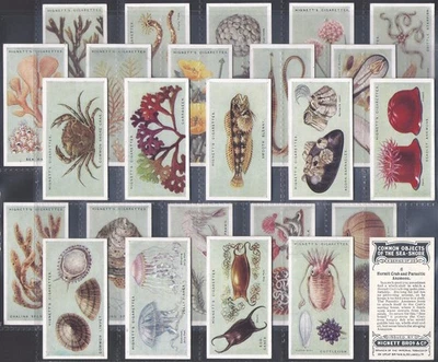 HIGNETT-FULL SET- COMMON OBJECTS OF THE SEA SHORE 1924 (25 CARDS) EXCELLENT - Image 1 of 4