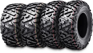 4 Tires WANDA UTV ATV Tires 24X9-10 & 24X11-10 Bighorn Style 6PR... - Picture 1 of 3
