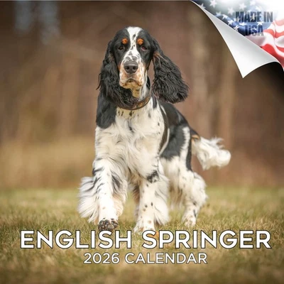 MEGACALENDARS English Springer Calendar Dog Breed Calendar 2026 FULL SIZE 12x24 Made in USA