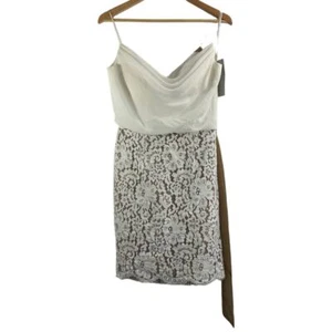 CHRISTINA WU Ivory & Camel Lace and Chiffon Cocktail Dress Size 8 NWT - Picture 1 of 5