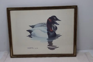 Canvasback Duck Print Richard Sloan 12 x 9" Male Female Pair 1980 Framed Vintage - Picture 1 of 4