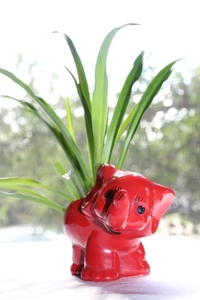 Vintage Retro rot Baby Elefant Pflanzgefäß kleiner Glücksrüssel bis 3,5" T  - Bild 1 von 20