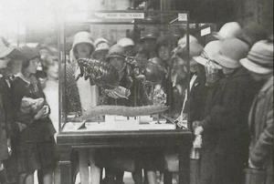 Postcard Crowd About Case of Fleas & Tsetse Larvae Natural History Musm 1927 MNT - Picture 1 of 1