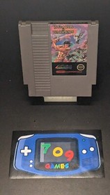 Wizards & Warriors (Nintendo Entertainment System, 1987) NES