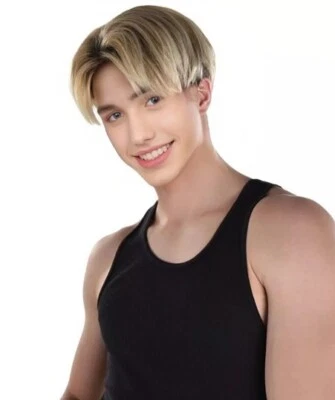 HALLOWEEN PARTY ONLINE HPO Adult Male WIG 90's Heartthrob – Short Wig Light weight Synthetic Fiber