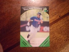 2002 TRENTON THUNDER Multi Ad Minor League Single Cards YOU PICK OBO