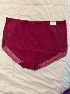 Lane Bryant Cacique RASPBERRY RADIANCE Cotton Full Brief Daydream Lace Bac 22/24 - Picture 1 of 6