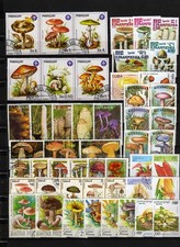 LOTTO RACCOLTA DI 50 FUNGHI + OMAGGI