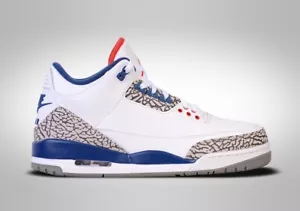 Nike Air Jordan 3 Retro OG True Blue BG 4.5 Y - Imagen 1 de 1