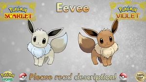 🍊Shiny/Non-shiny Eevee 6IV🍇Pokémon Scarlet/Violet (💯Legal) - Picture 1 of 57