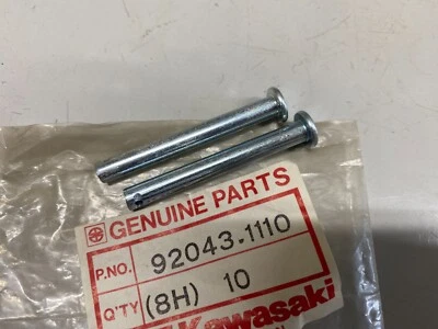 PINES DE BRAZO OSCILANTE KAWASAKI NOS KLR250 KDX200 KDX250 Foto 1 de 3