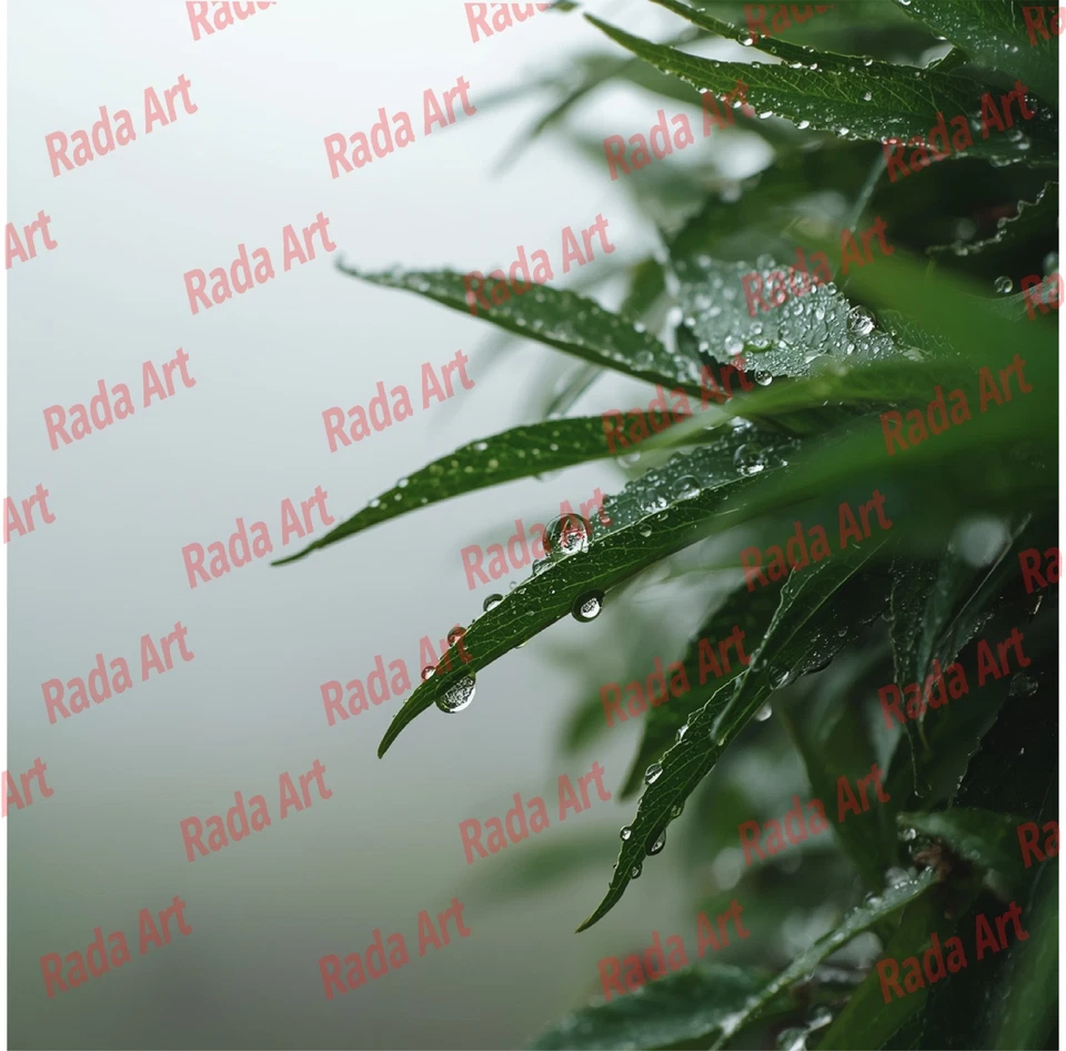 Hierba con gotas de rocío arte digital Ai imagen foto papel tapiz para marco Foto 1 de 1