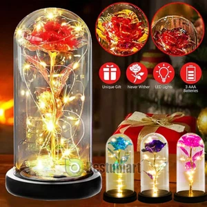 Rosa Luz LED Vidrio Regalo para Esposa Mujeres Novia San Valentín Día de la Madre Regalo - Imagen 1 de 47