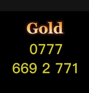 VIP Gold Mobile Number Easy Memorable SIM  Platinum Diamond Business  Lebara - Picture 1 of 1