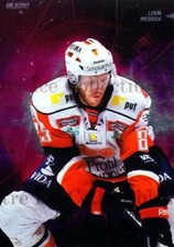 2013-14 Swedish Elitset Pro Experience #11 Liam Reddox