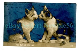 Gato/Gatito Mascota - THE TWINS CARESS - RPPC Rotografía Postal - Imagen 1 de 2