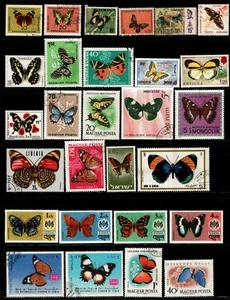 Opc 1 página de mariposas tópicas 43574 - Imagen 1 de 1