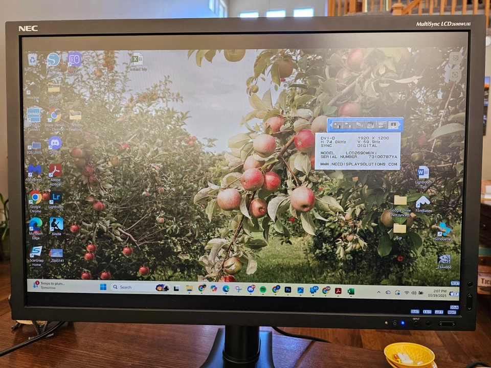 NEC MultiSync LCD2690WUXi 26” Widescreen IPS Monitor – Excellent Display Quality - Image 1 of 4