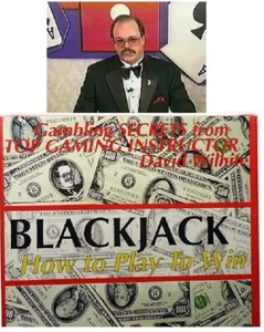 BLACKJACK HOW TO PLAY TO WIN New VHS David Wilhite Gambling Secrets Black Jack - Picture 1 of 7