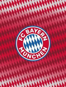 FC Bayern München Kuscheldecke Fleecedecke 130x170cm - Bild 1 von 1