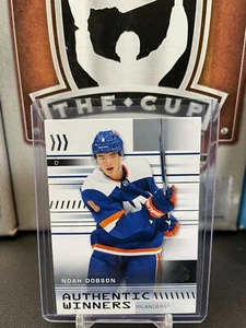 2019-20 SP Authentic Authentic Winners #AWND Noah Dobson - Picture 1 of 1