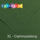 Karton ozdobny 50x65 cm 150g zielony c. op. 10ark CANSON 31074S056 CANSON