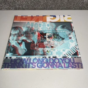 Big Red Machine -How Long Do You Think It's Gonna Last? Vinyl LP New - Picture 1 of 3