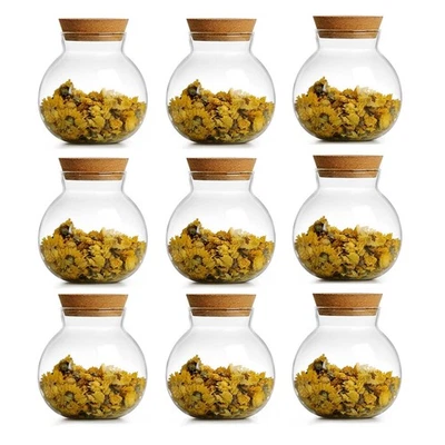 Spherical Glass Jar With Cork Lid Airtight - 17oz Candy Jar Kitchen Glass Jar... - Image 1 of 4