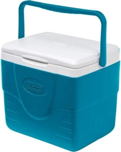 Food Ice Chest Personal Cooler Lunch Box 9 Quart Small Picnic Camping Container - Picture 1 of 7