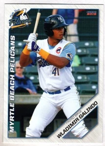 Wladimir Galindo 2019 Choice Myrtle Beach Pelicans - Picture 1 of 1