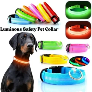 LED Dog Pet Collar USB Rechargeable Flashing Luminous Safety Night Light Up - Picture 1 of 29