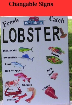 Vinyl Cutter Not Needed Learn Sign Maker Secrets  (Building Instructions Only) - Image 1 of 4