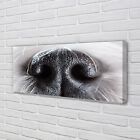 Tulup Canvas print 125x50 Wall Art Picture dog's nose
