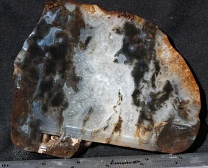 S-165  ~  9.0oz Slab Old Stock Oregon Moss Agate - Picture 1 of 7