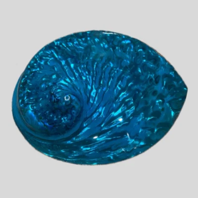 Large Natural Polished Bright Blue Dyed Midas Abalone Seashell Rare Real 5"-6" - Image 1 of 2