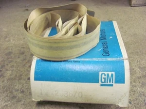 NOS 1979 79 Buick Century Front Fender Stripe Free Spirit 1263670 AJ A47 - Picture 1 of 1